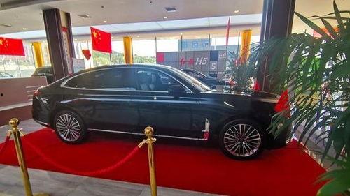 国产红旗车主视频