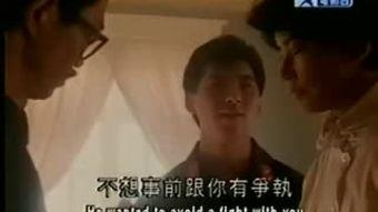 国产a普通话视频,探寻语言魅力与文化传承