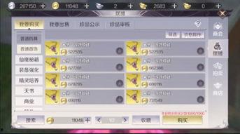 国产极品饰品视频网页,一窥网页上的璀璨魅力