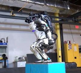 国产机器人体操视频,体操风采惊艳亮相