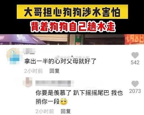 国产 酒店视频 资源网,视频资源网带你领略独特住宿体验