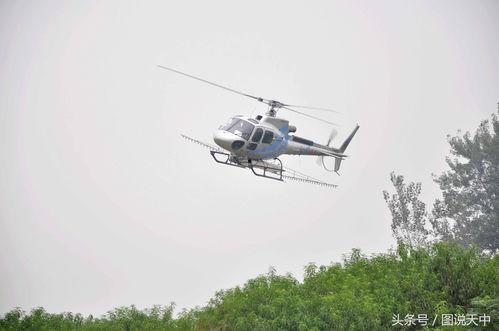 国产直升机打药视频,守护绿色家园