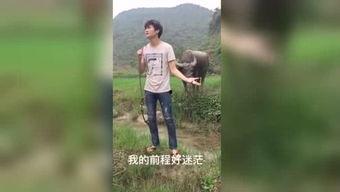 国产福利视频激情,激情燃烧的瞬间，揭秘国产影视的激情魅力