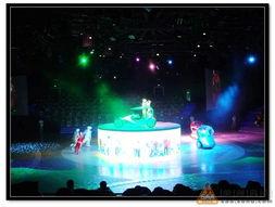 穿越时空国产舞蹈视频,舞动古今，共赴舞蹈盛宴