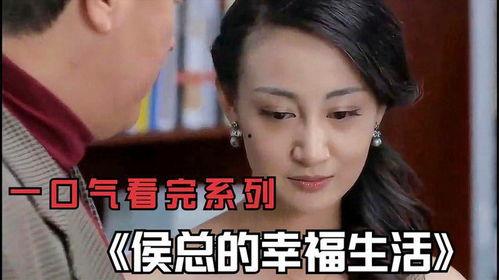 国产电视剧新剧解说视频,探索匠心独运的剧情魅力