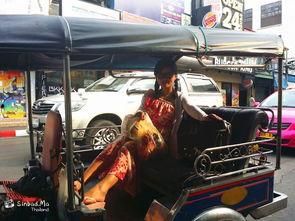 麦小兜自驾游视频国产,探寻国产生态之美