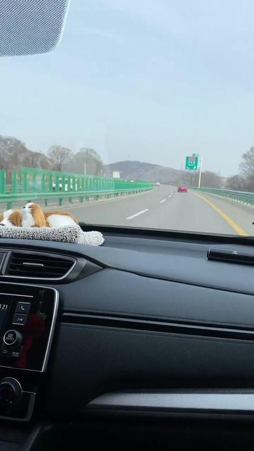 国产车试驾视频,驾驭未来，感受国货新风采