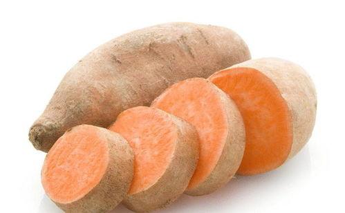 国产红薯产品视频,视频带你领略红薯美食魅力